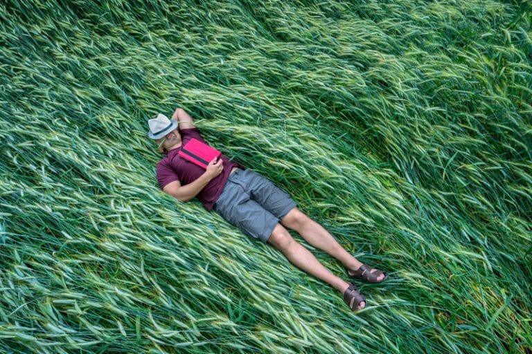 At What Time Do Farmers Wake Up? Farmer Grows