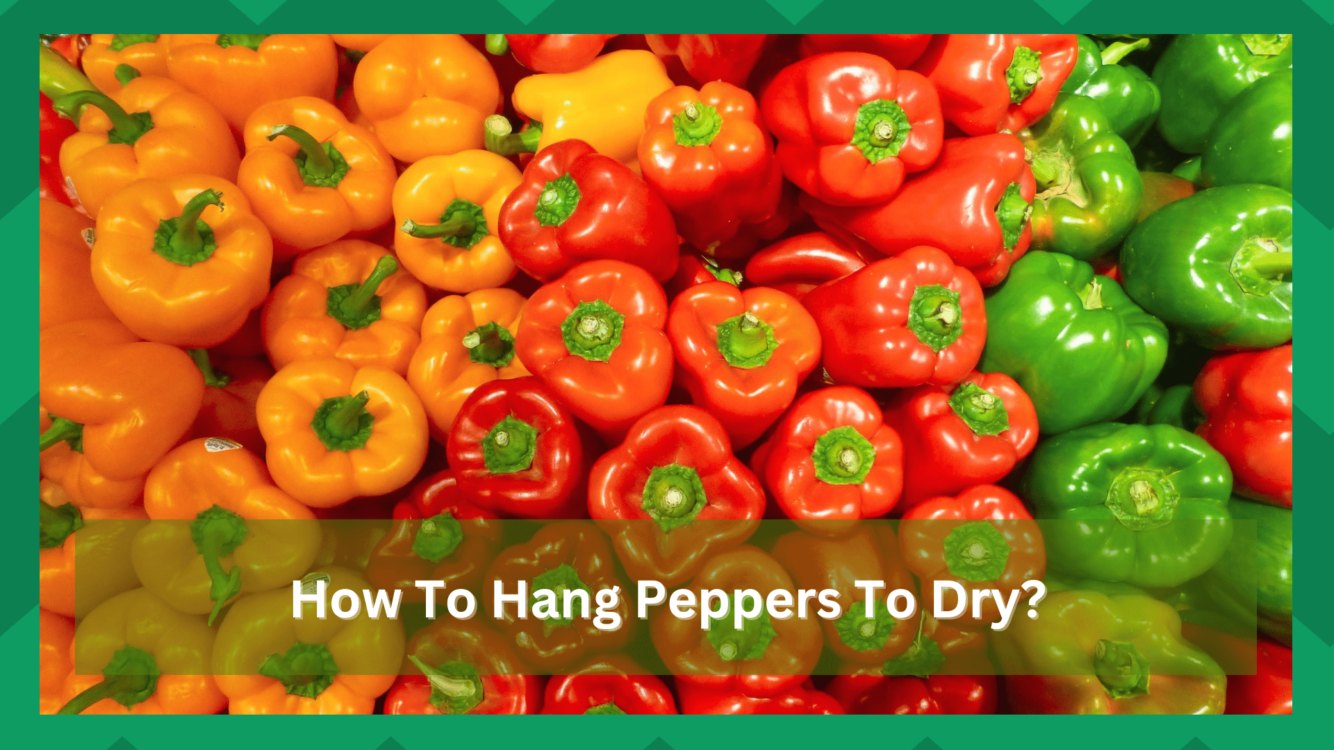 how to hang peppers to dry