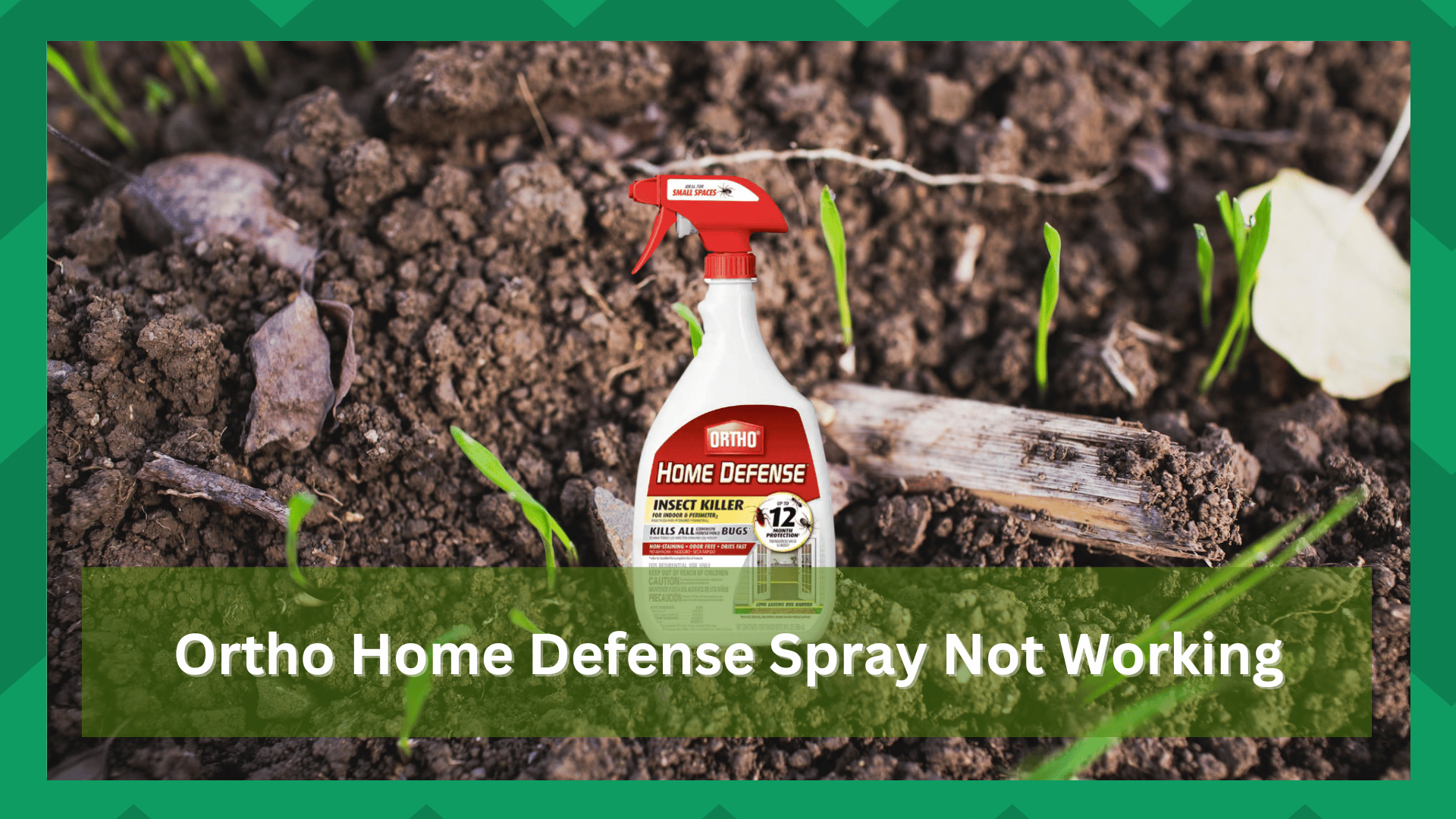 Ortho Home Defense Spray Not Working