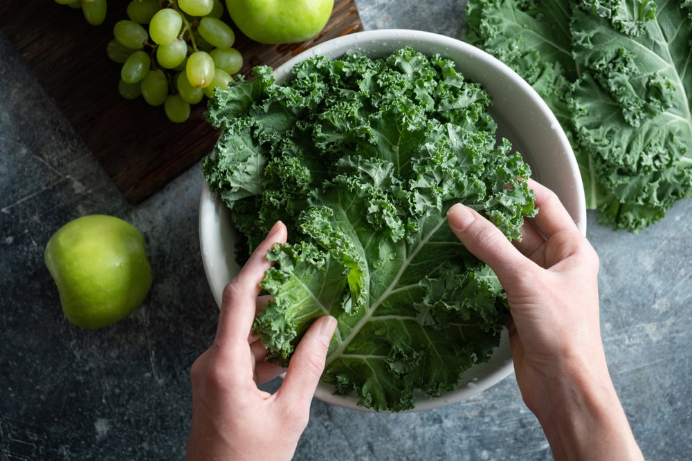 how to grow kale indoors