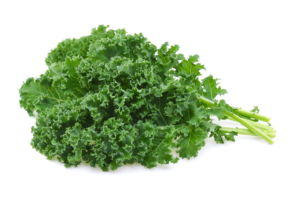 what not to plant with kale