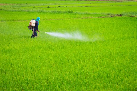 Chemical Weed Killer Control