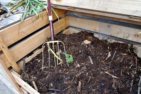 Compost Bin Disposal Of Stinging Nettles