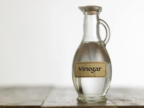 Use Vinegar To Kill Stinging Nettles