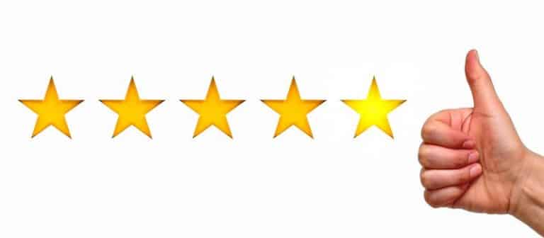 Wolverine Skid Steer Brush Cutter Reviews - Farmer Grows