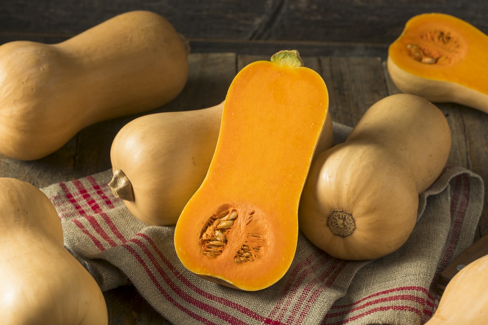Butternut Squash Oozing 3 Possible Reasons Farmer Grows