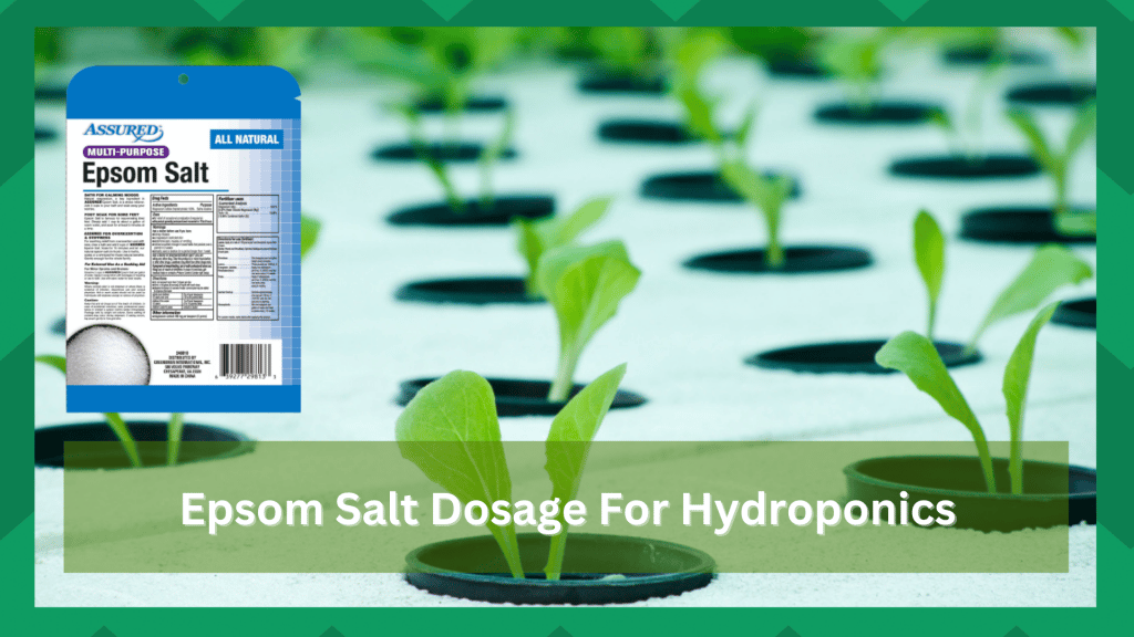 Discussing Epsom Salt Dosage For Hydroponics Farmer Grows