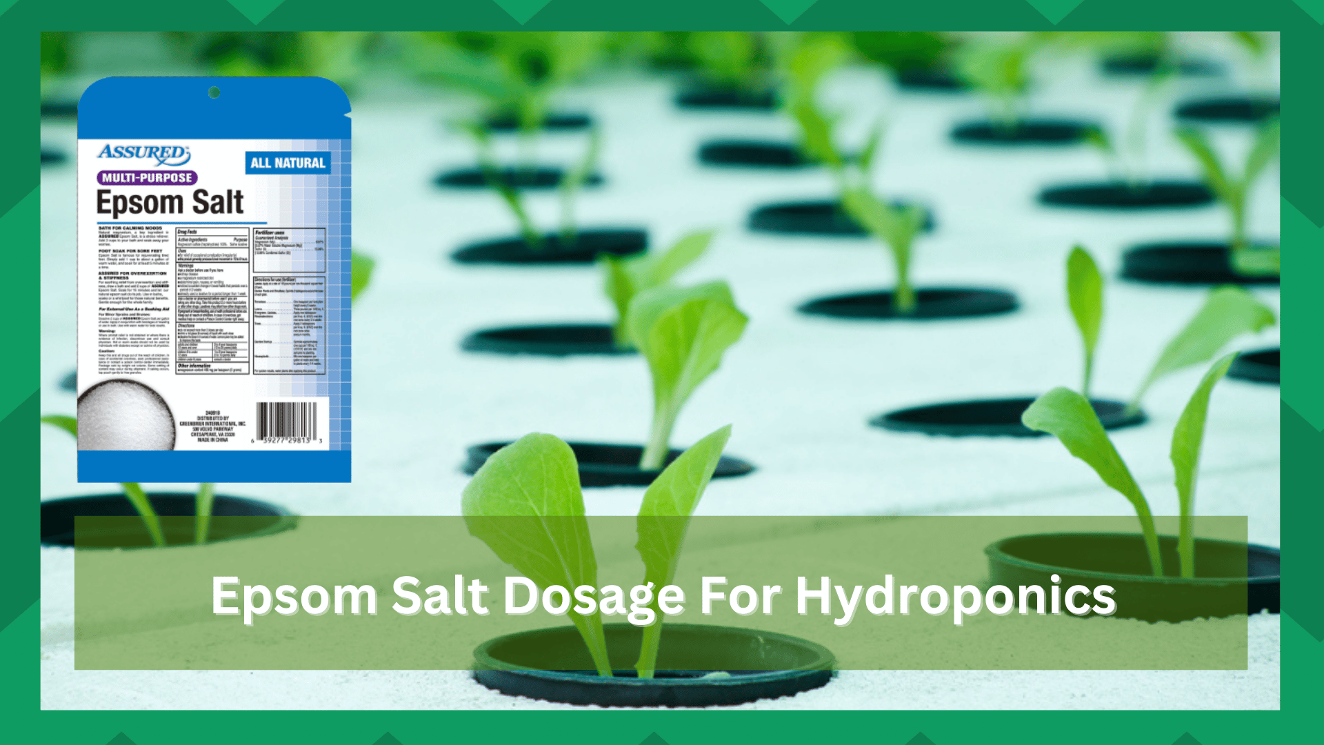 epsom salt dosage for hydroponics