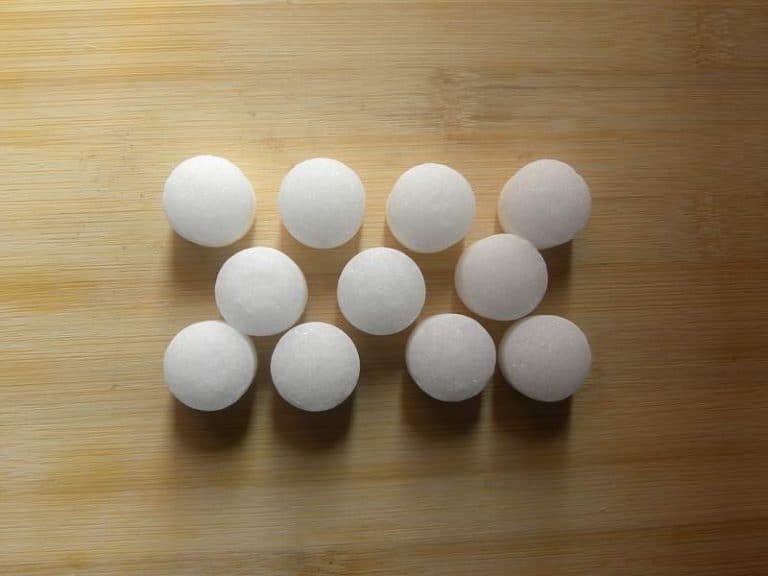 13 Handy Tips To Keep Raccoons Out Of Corn Farmer Grows