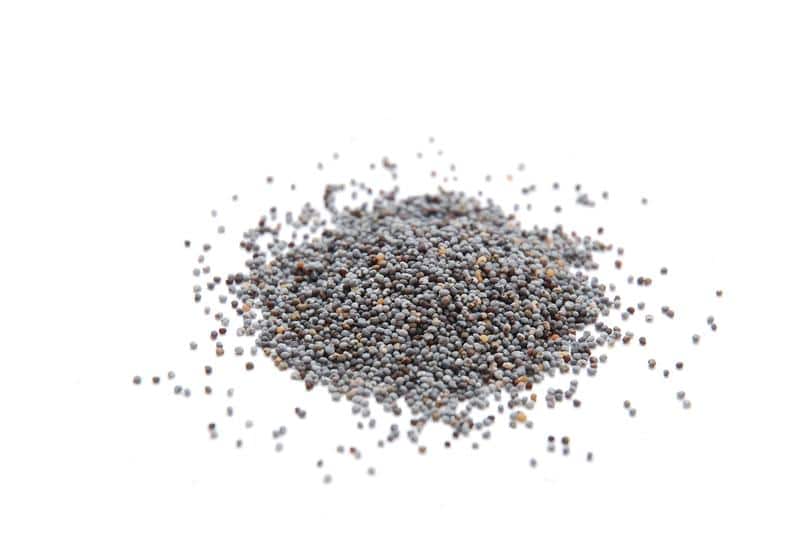 Poppy Seeds - What Are Their Benefits