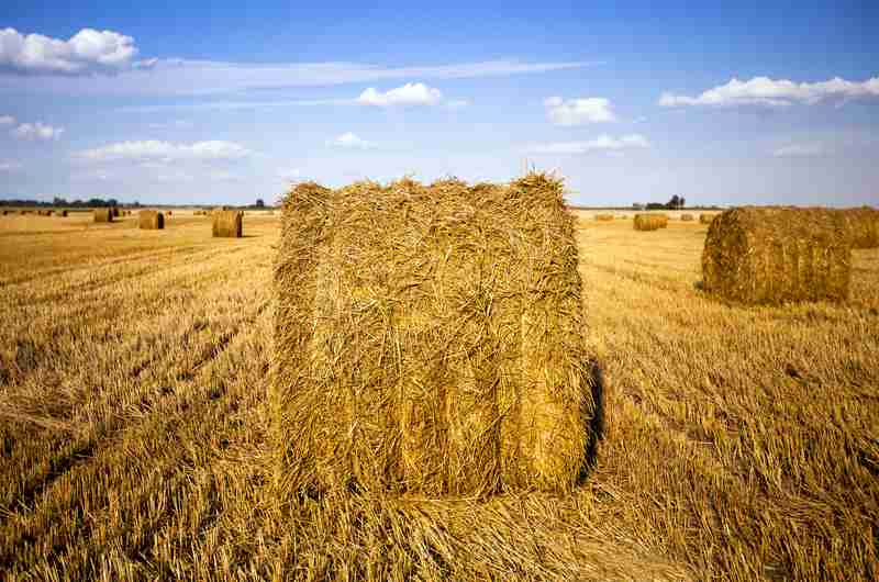 Sensor Showing Uneven Hay