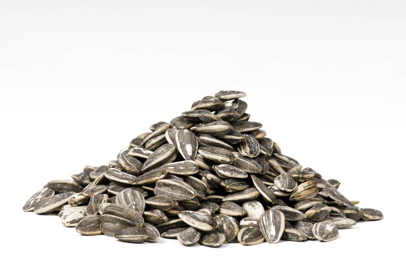 Sunflower Seeds - Are They Good For You