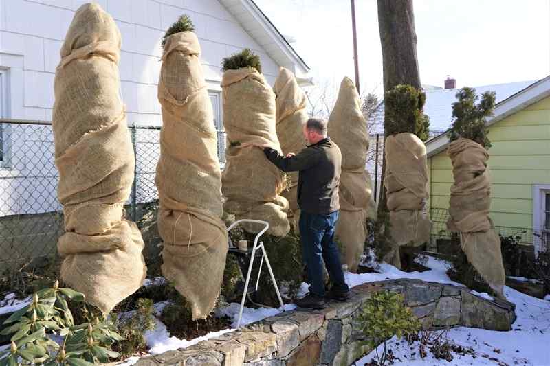 Wrap Your Tree with Burlap
