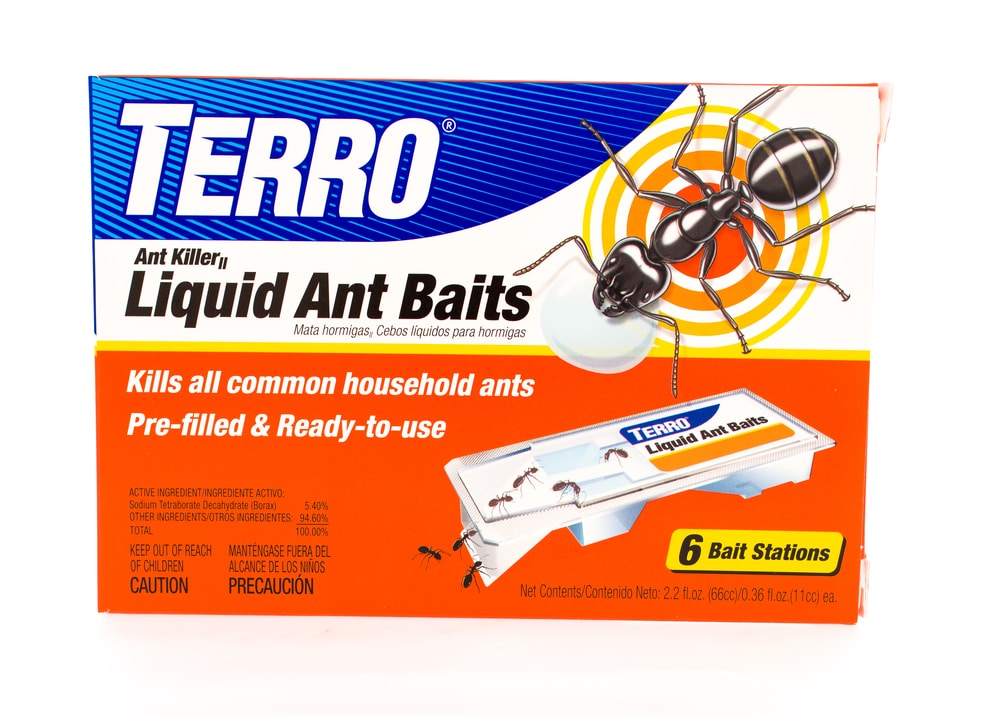 Ants Not Attracted To Terro