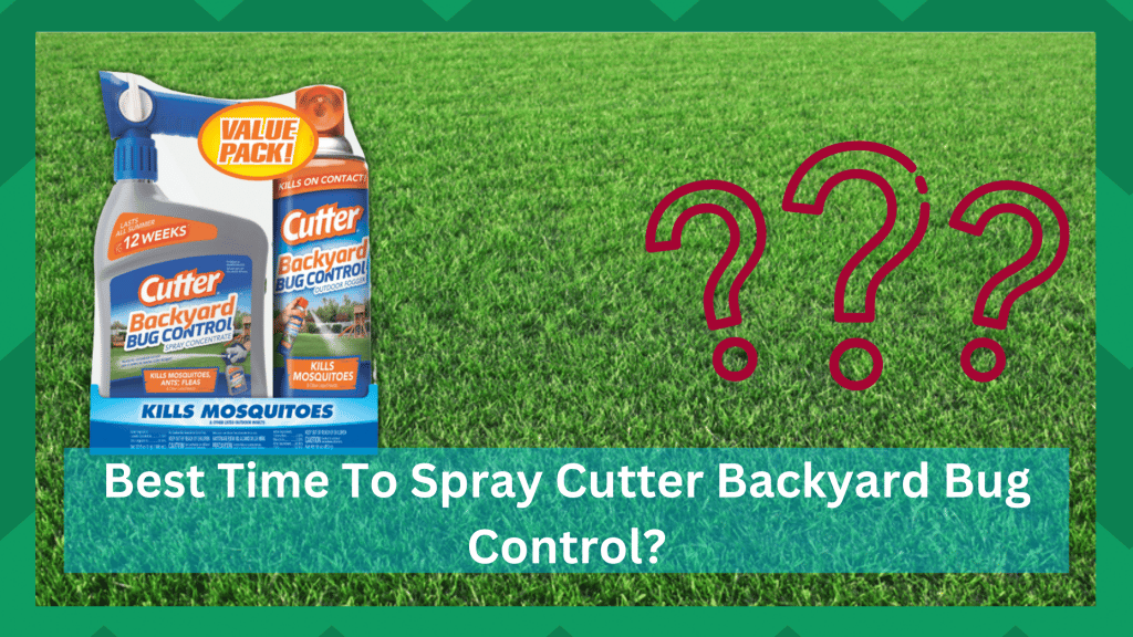 Best Time To Spray Cutter Backyard Bug Control? (Answered) Farmer Grows