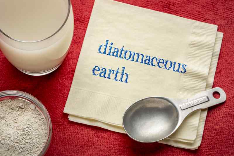 diatomaceous earth