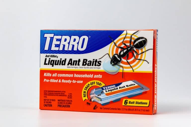 How Long Does Terro Take To Kill Ants? (Answered) Farmer Grows