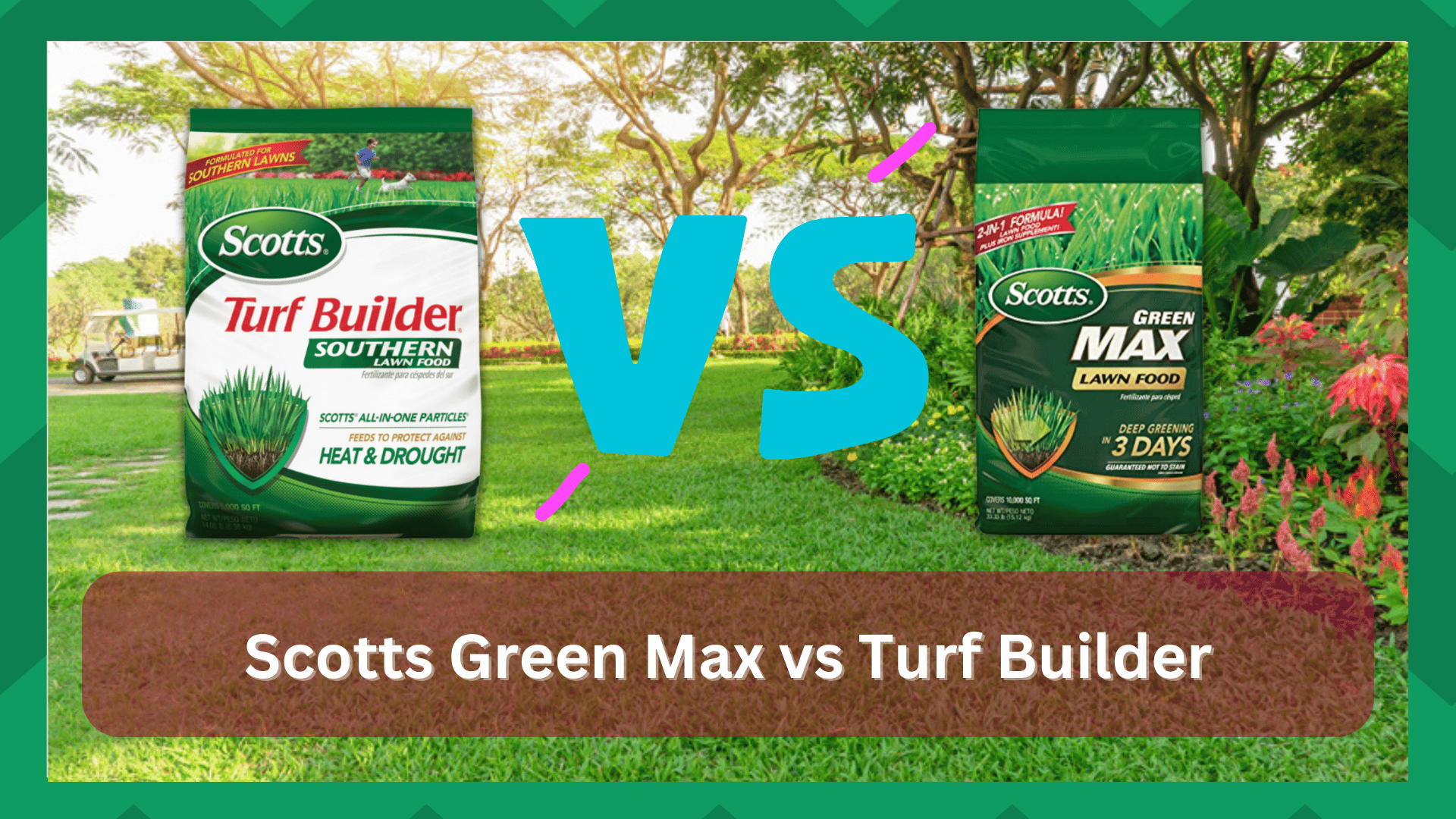 Scotts Green Max vs Turf Builder