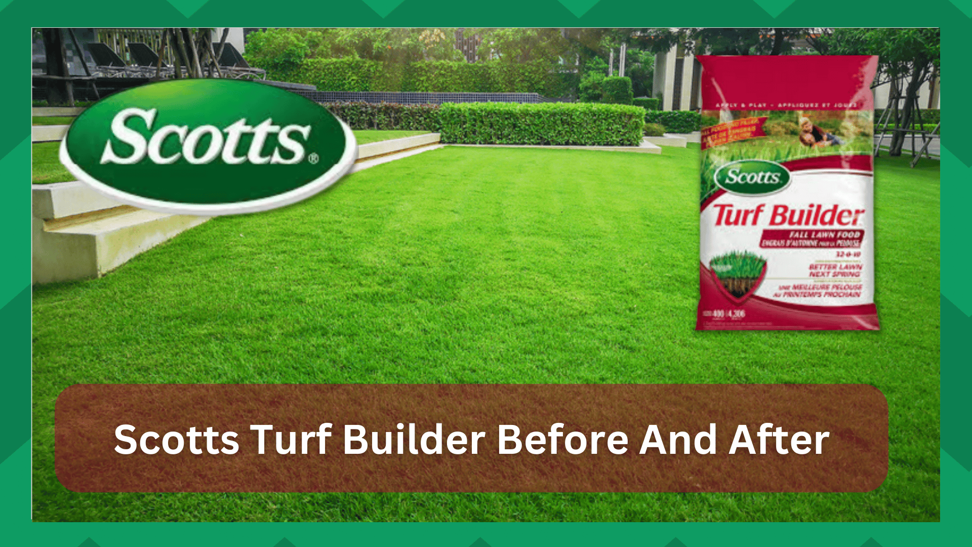 Scotts Turf Builder Before And After