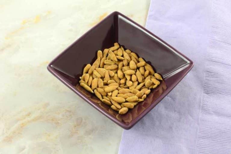 How To Save Sunflower Seeds For Planting Next Year? Farmer Grows