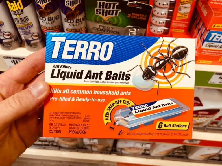 4 Fixes For Terro Ant Bait Not Working Farmer Grows
