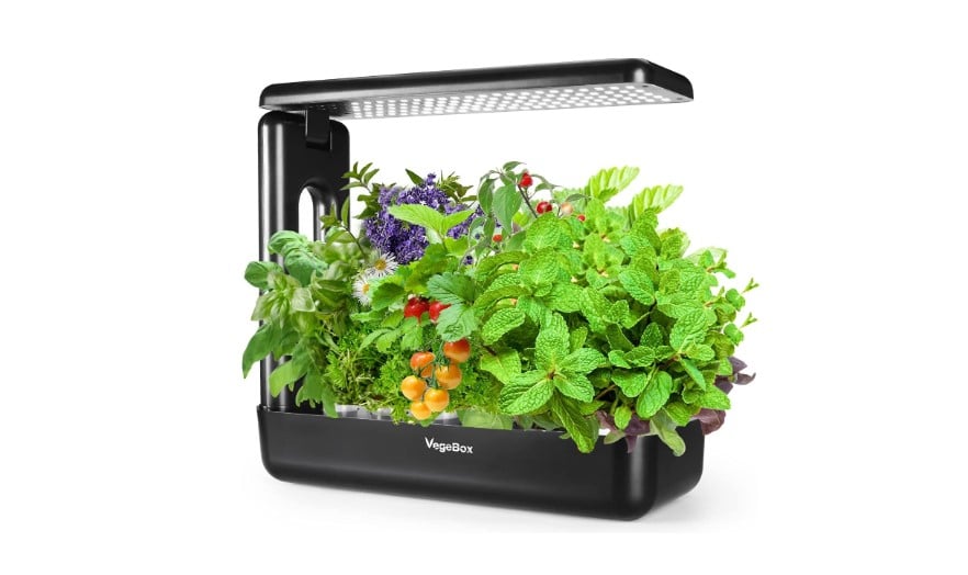 5 Best AeroGarden Alternatives To Try! - Farmer Grows