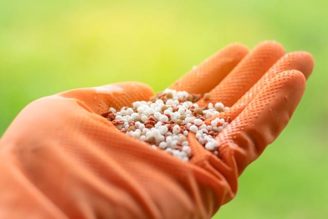 Fertilizers In Soil