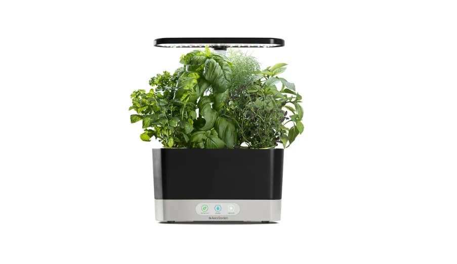 aerogarden growing system