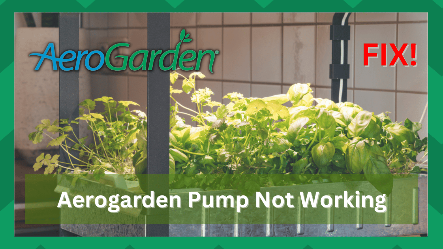 5 Ways To Fix AeroGarden Pump Not Working Farmer Grows
