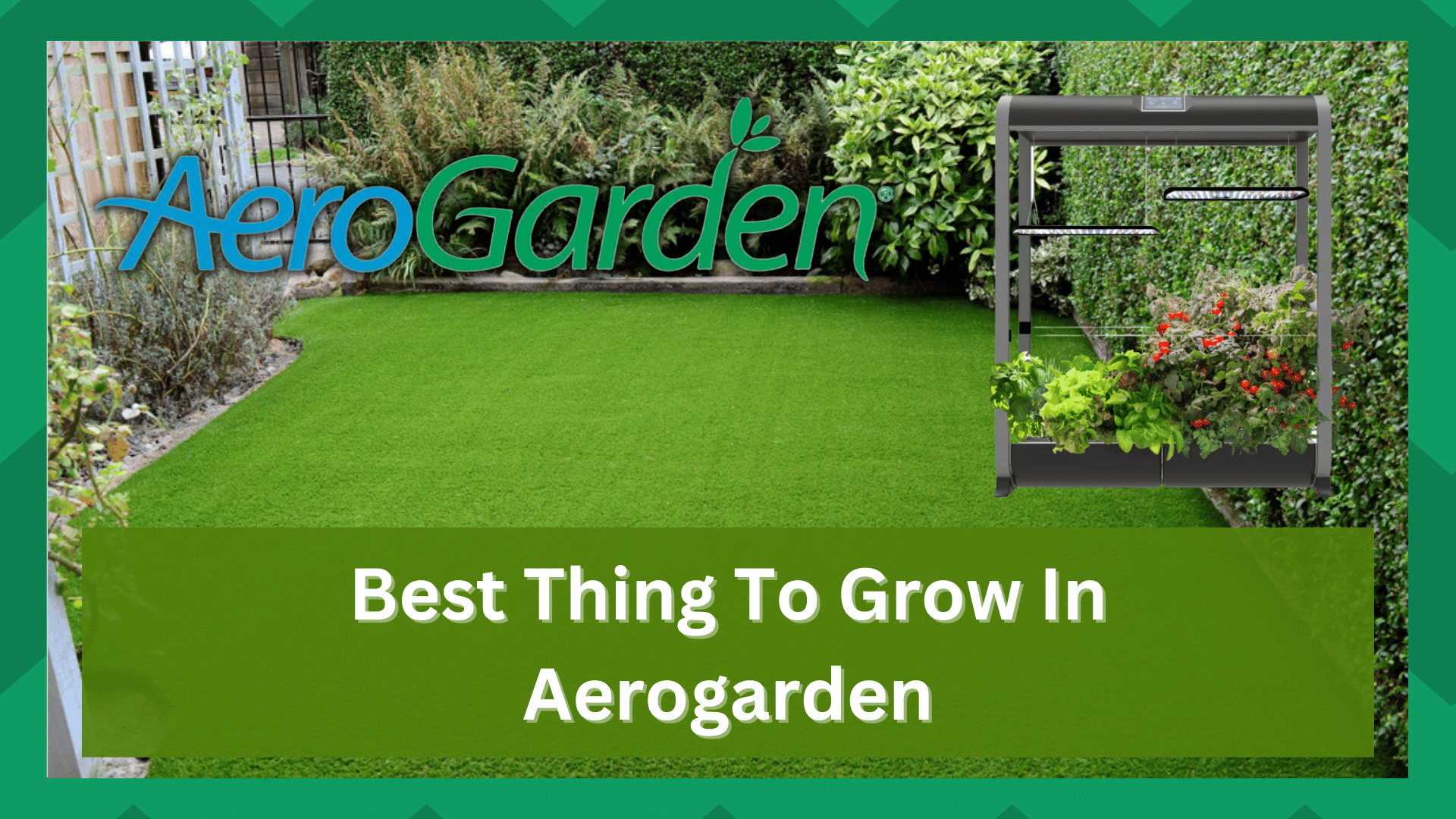 best thing to grow in aerogarden