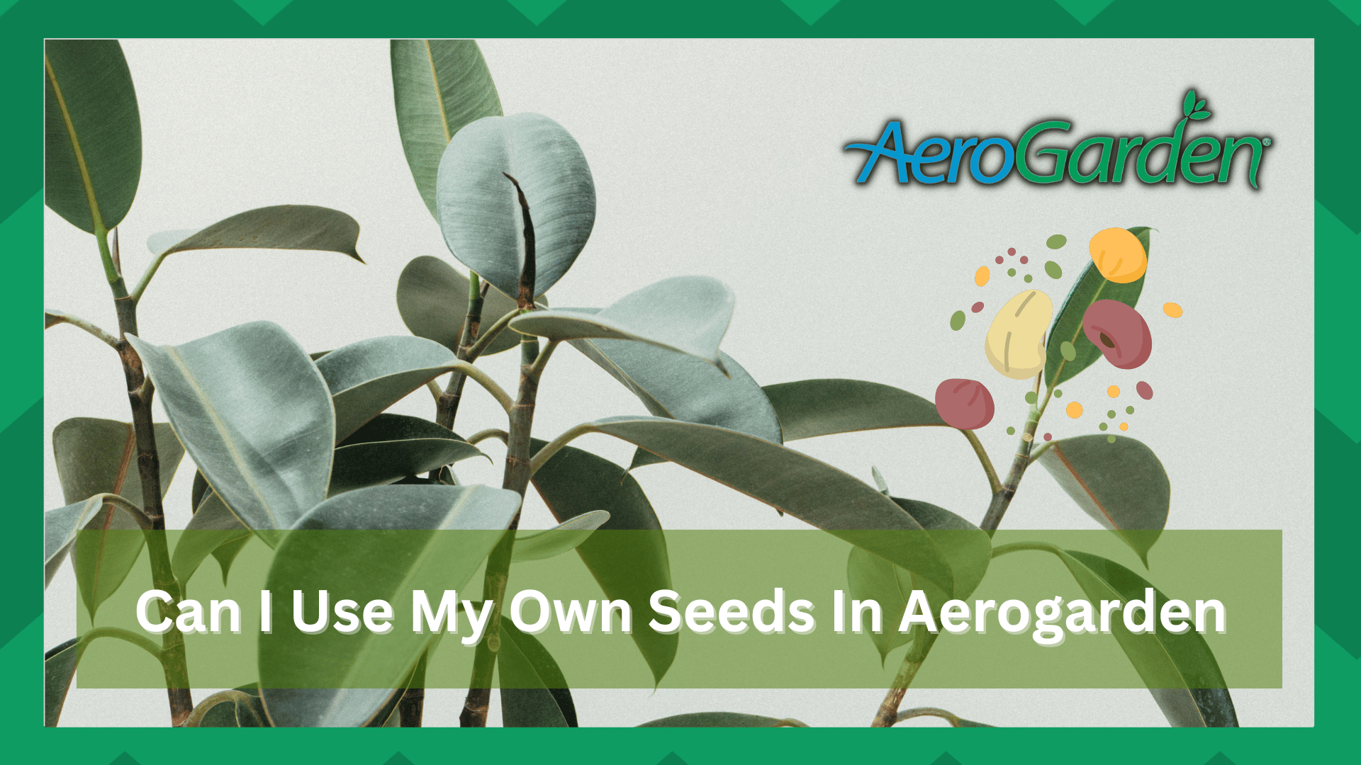 can i use my own seeds in an aerogarden