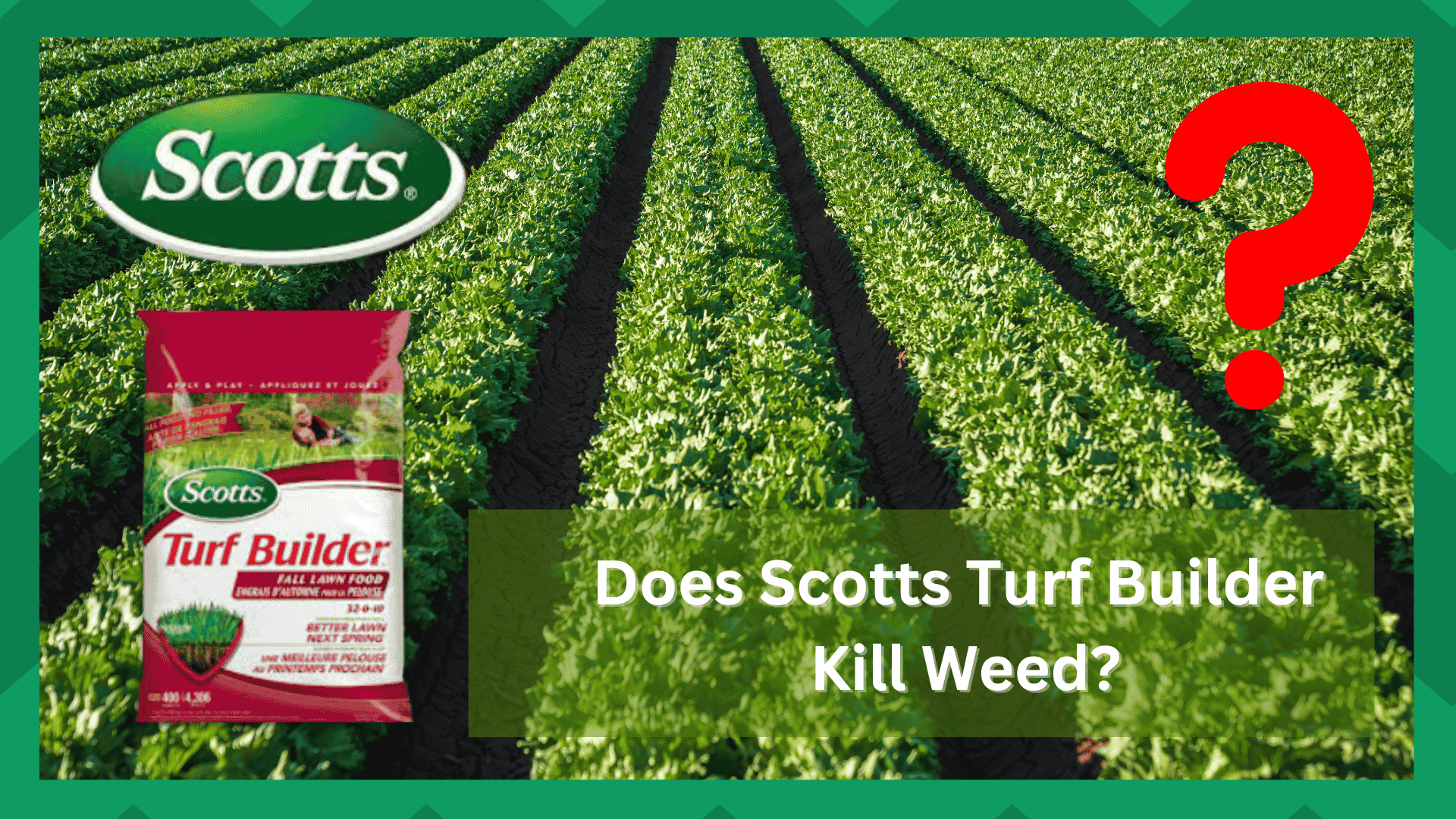 does scotts turf builder kill weeds