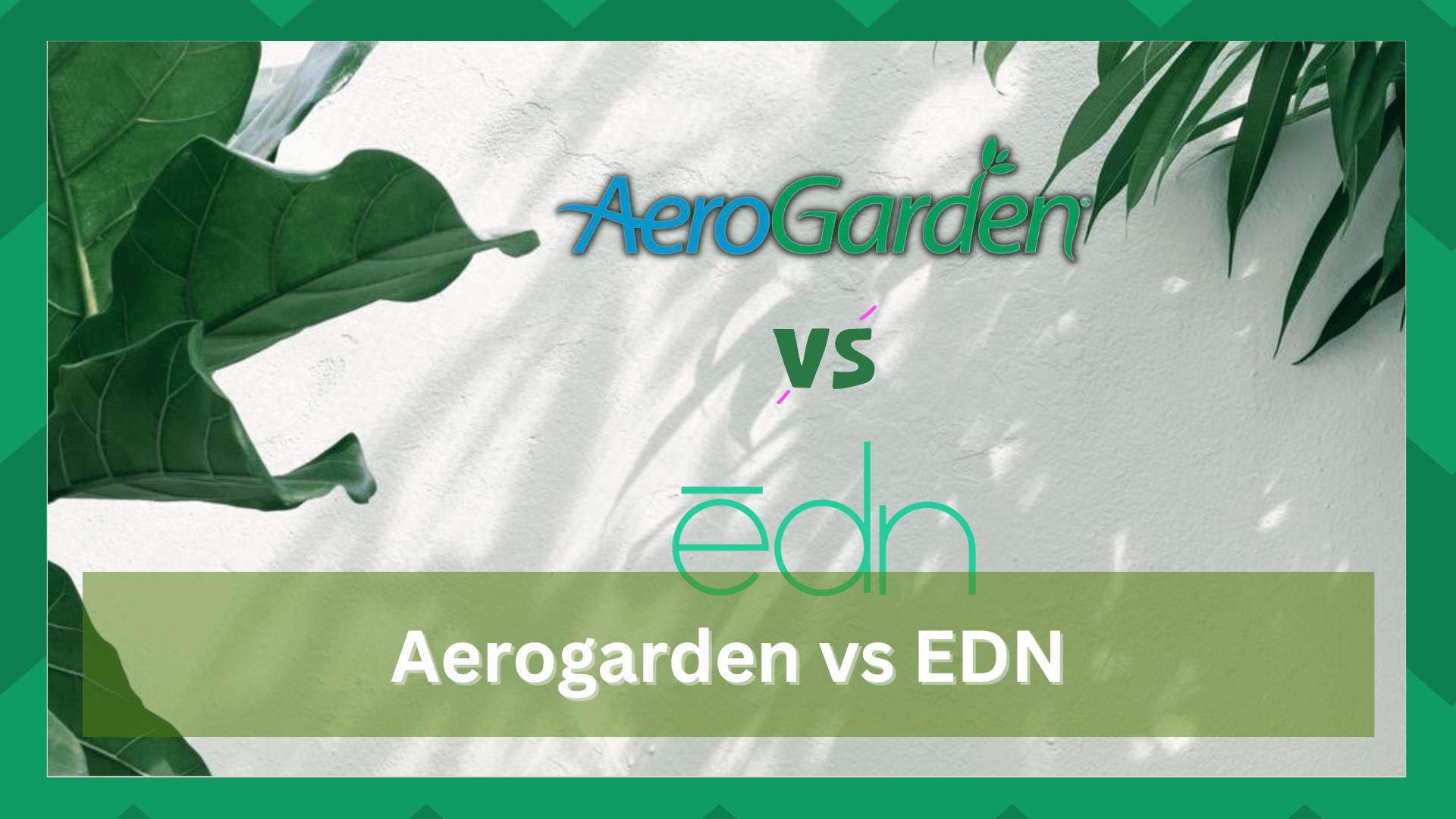 edn vs aerogarden