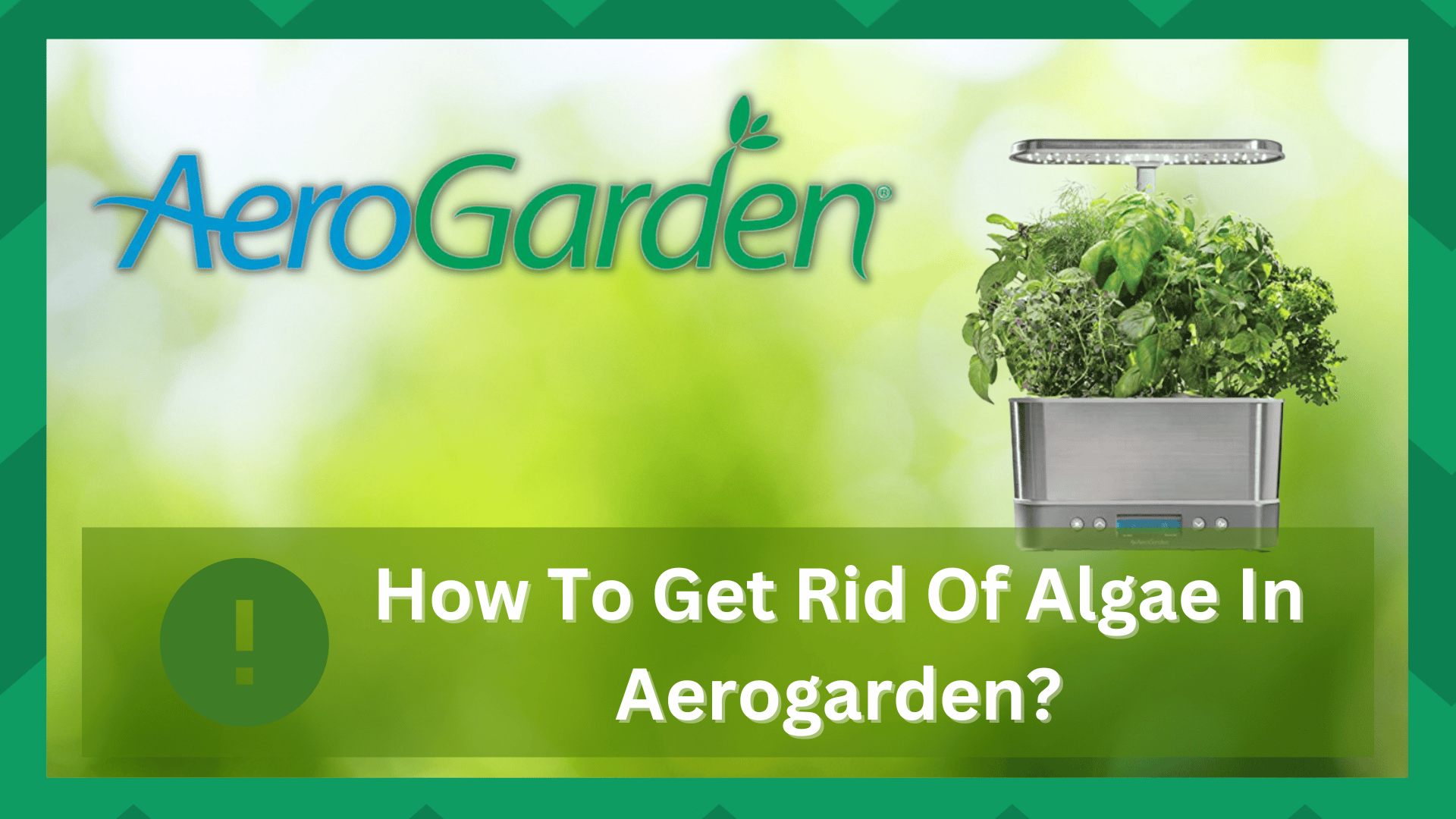 how to get rid of algae in aerogarden