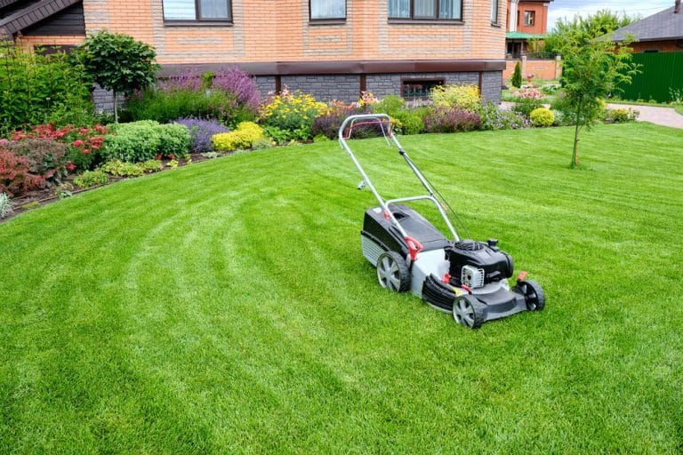 Kobalt 80V Mower SelfPropelled Not Working 5 Solutions Farmer Grows