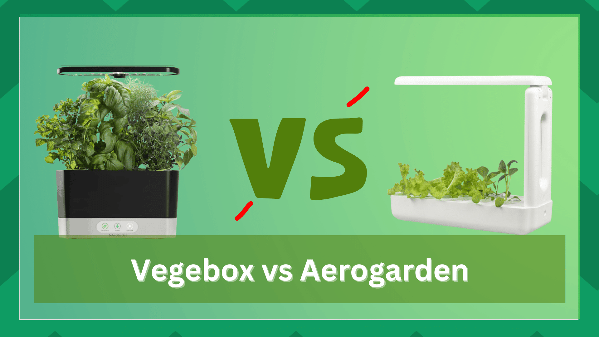 vegebox vs aerogarden