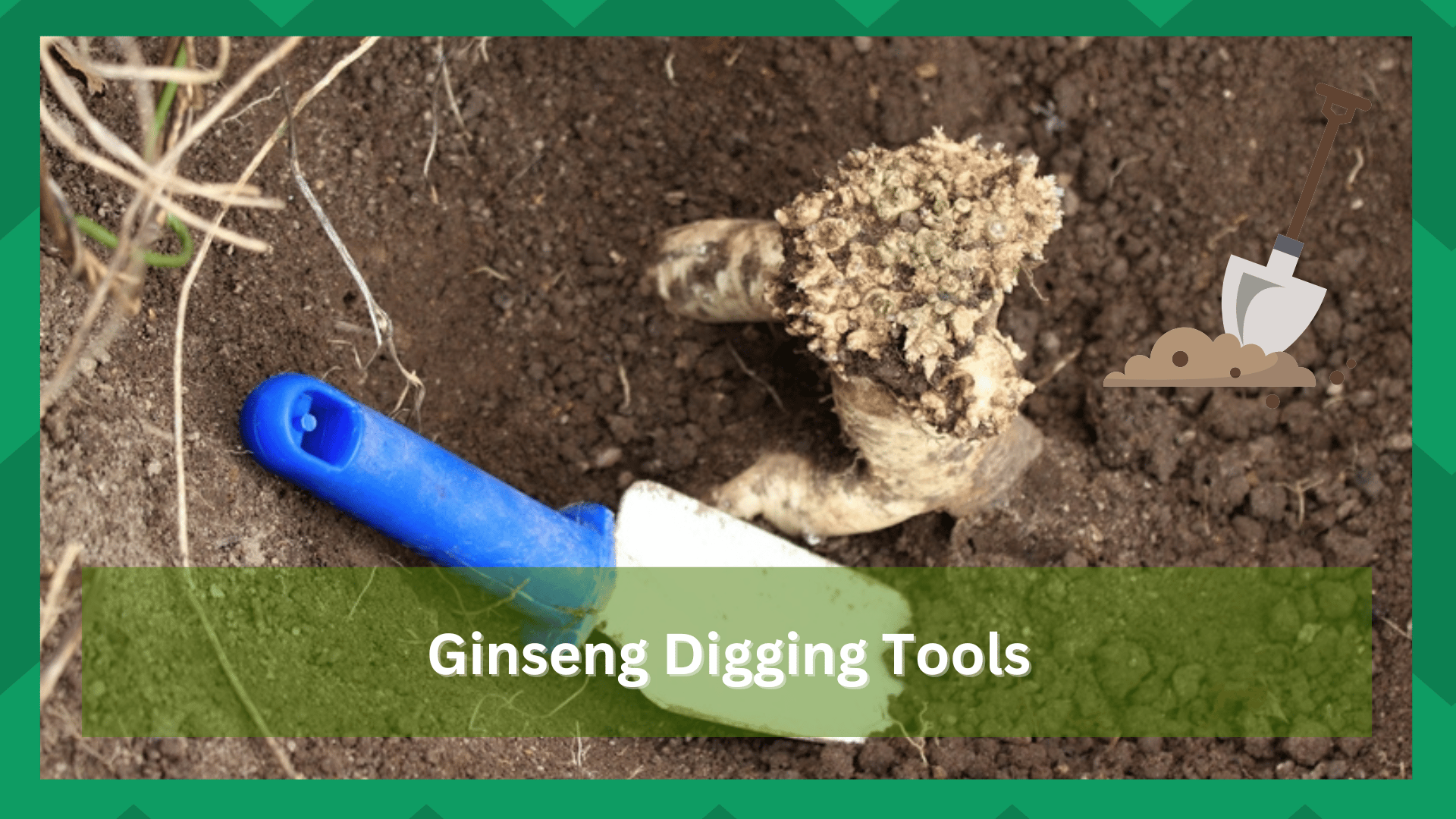ginseng digging tools