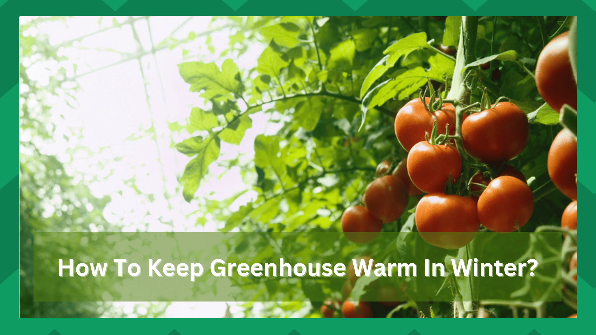 how to keep a greenhouse warm in winter