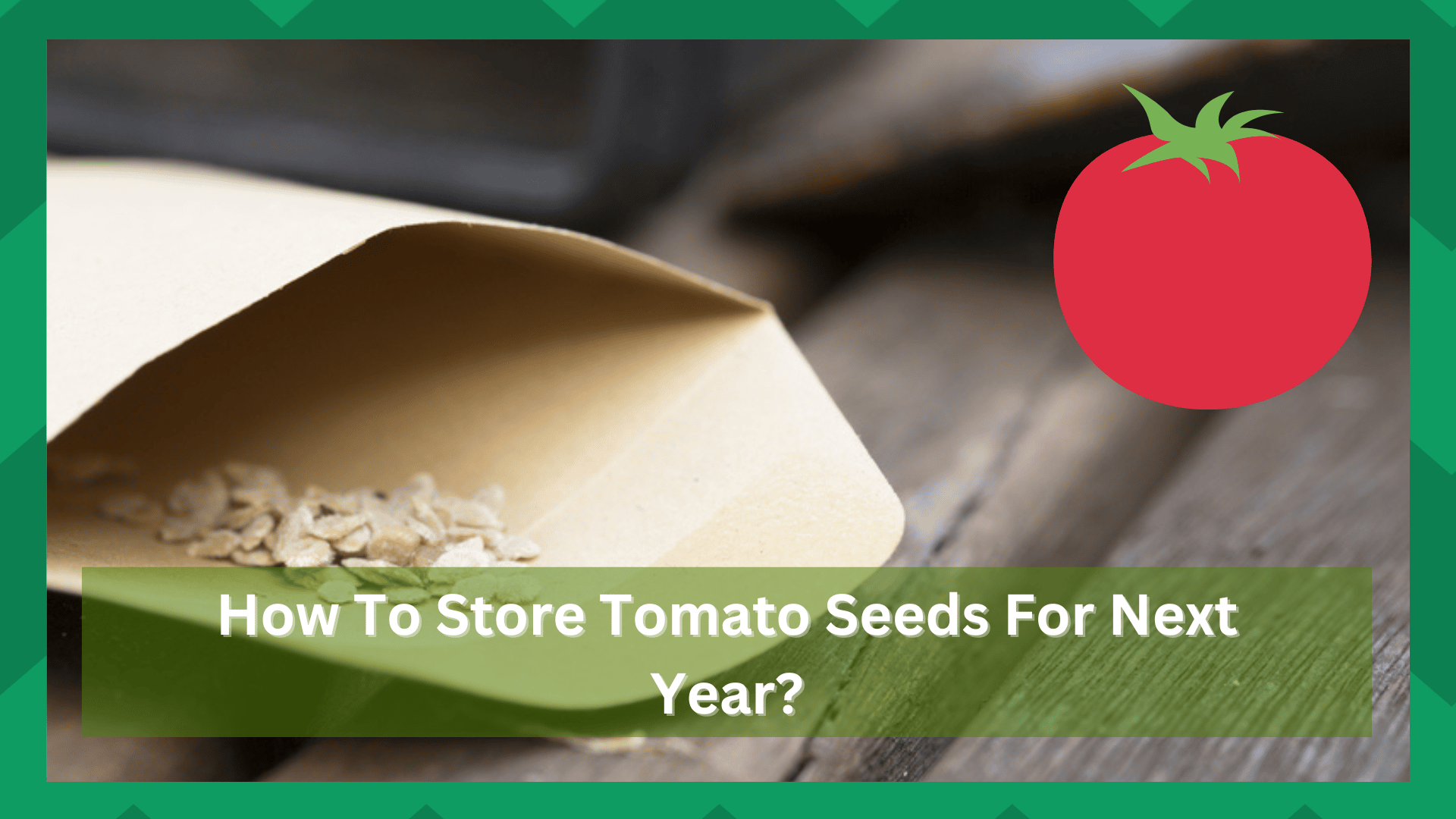 how to store tomato seeds for next year