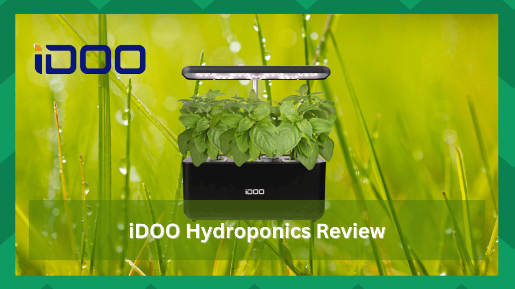 iDOO Hydroponics Growing System Review Farmer Grows