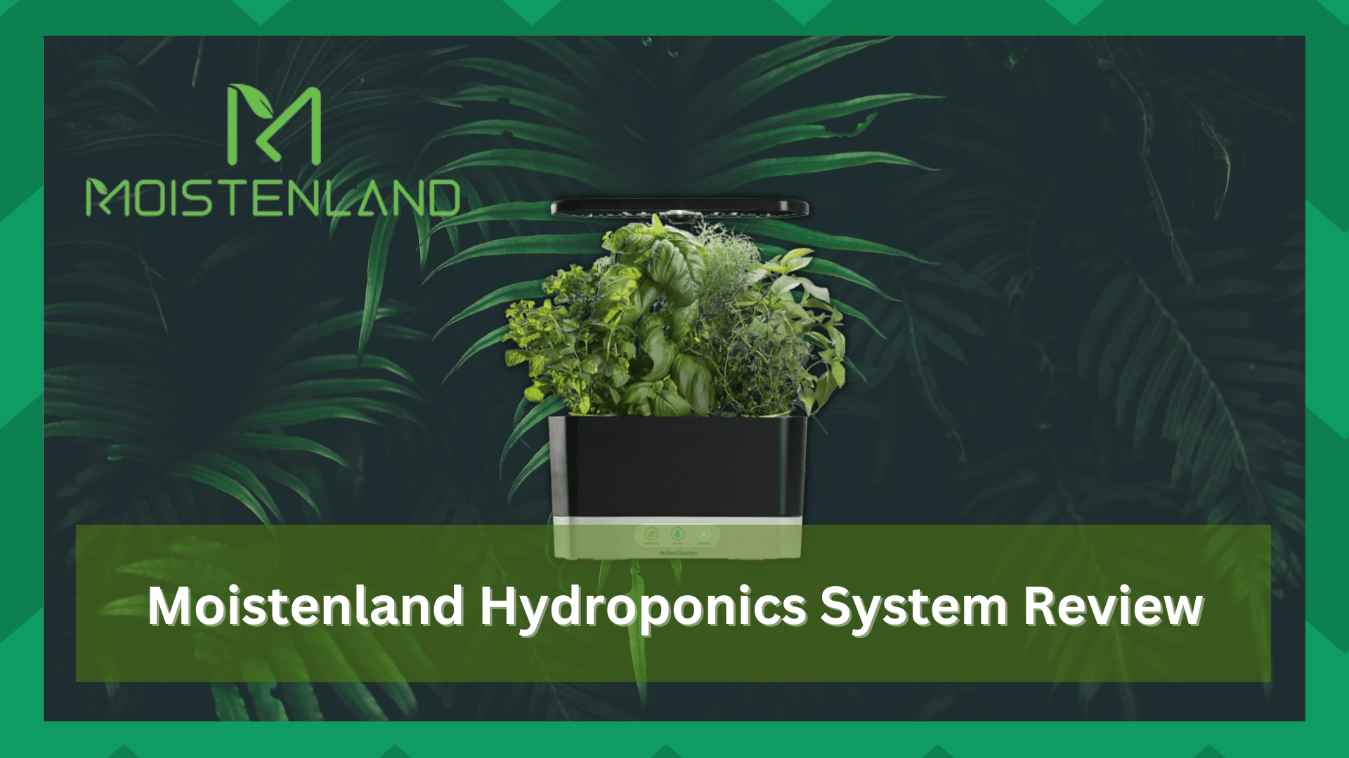 moistenland hydroponics growing system review