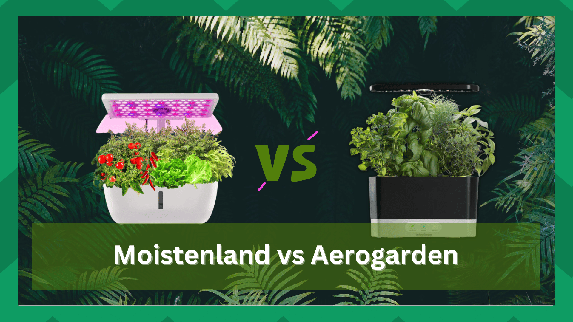 moistenland vs aerogarden