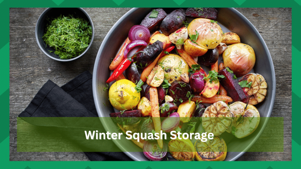 winter squash storage