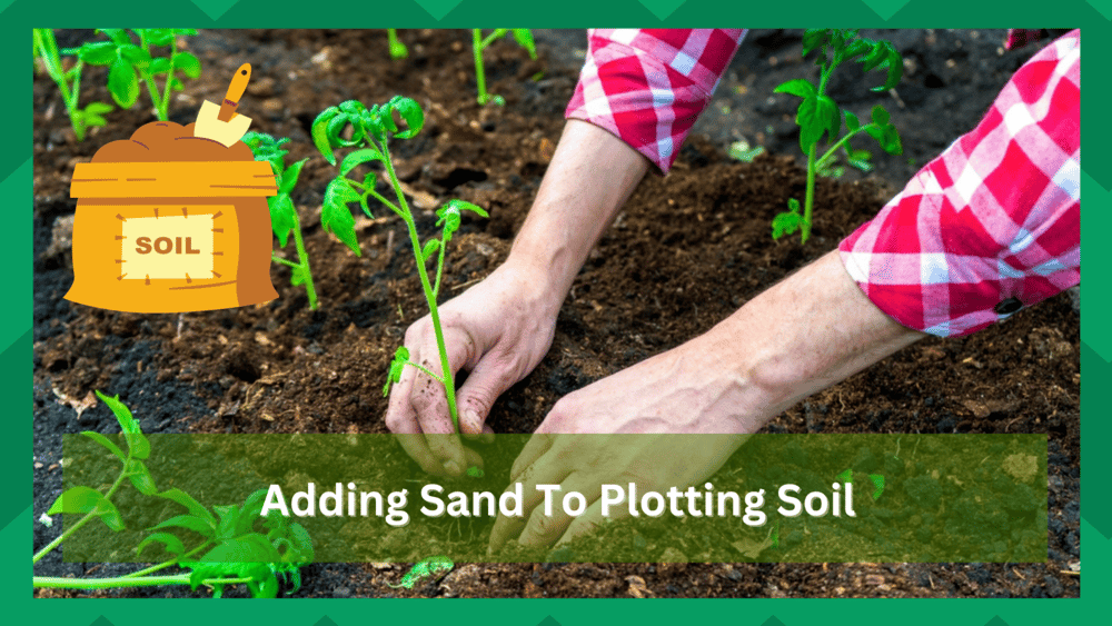 adding sand to potting soil