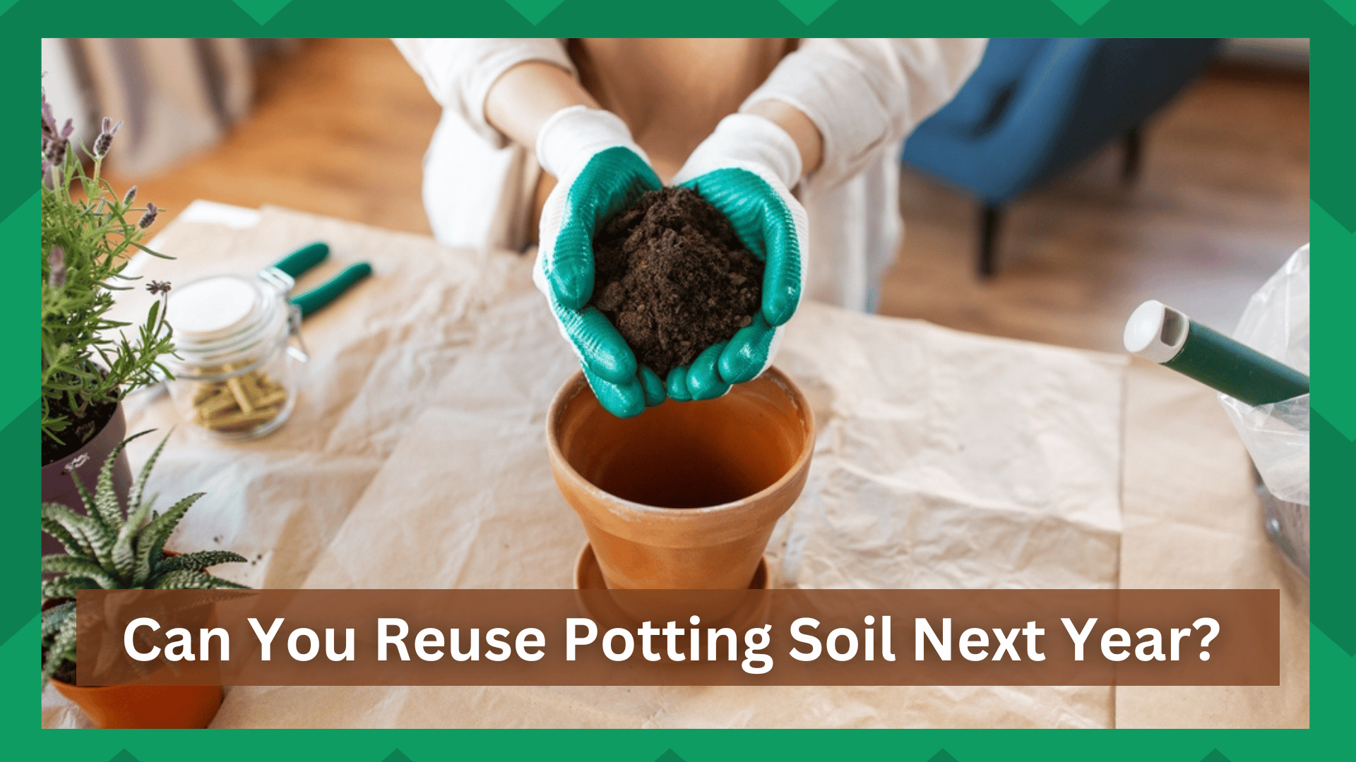 can you reuse potting soil the next year