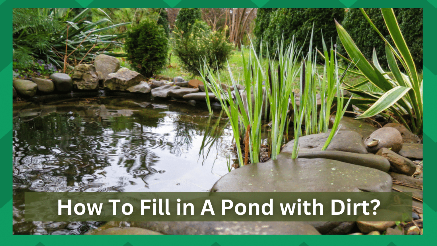 How To Fill in A Pond with Dirt? Farmer Grows