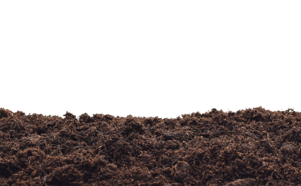 soil mixture