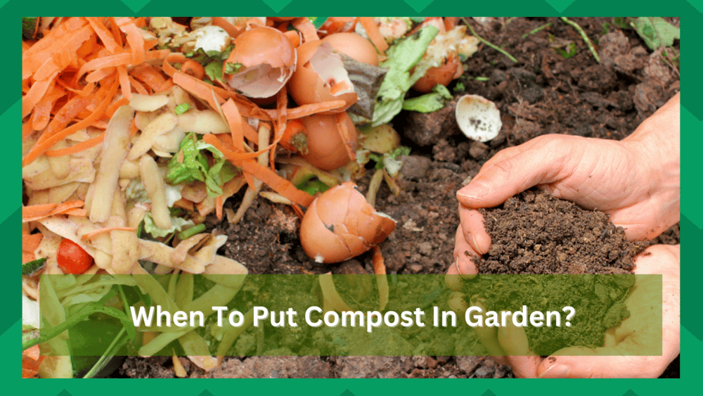 when to put compost on garden