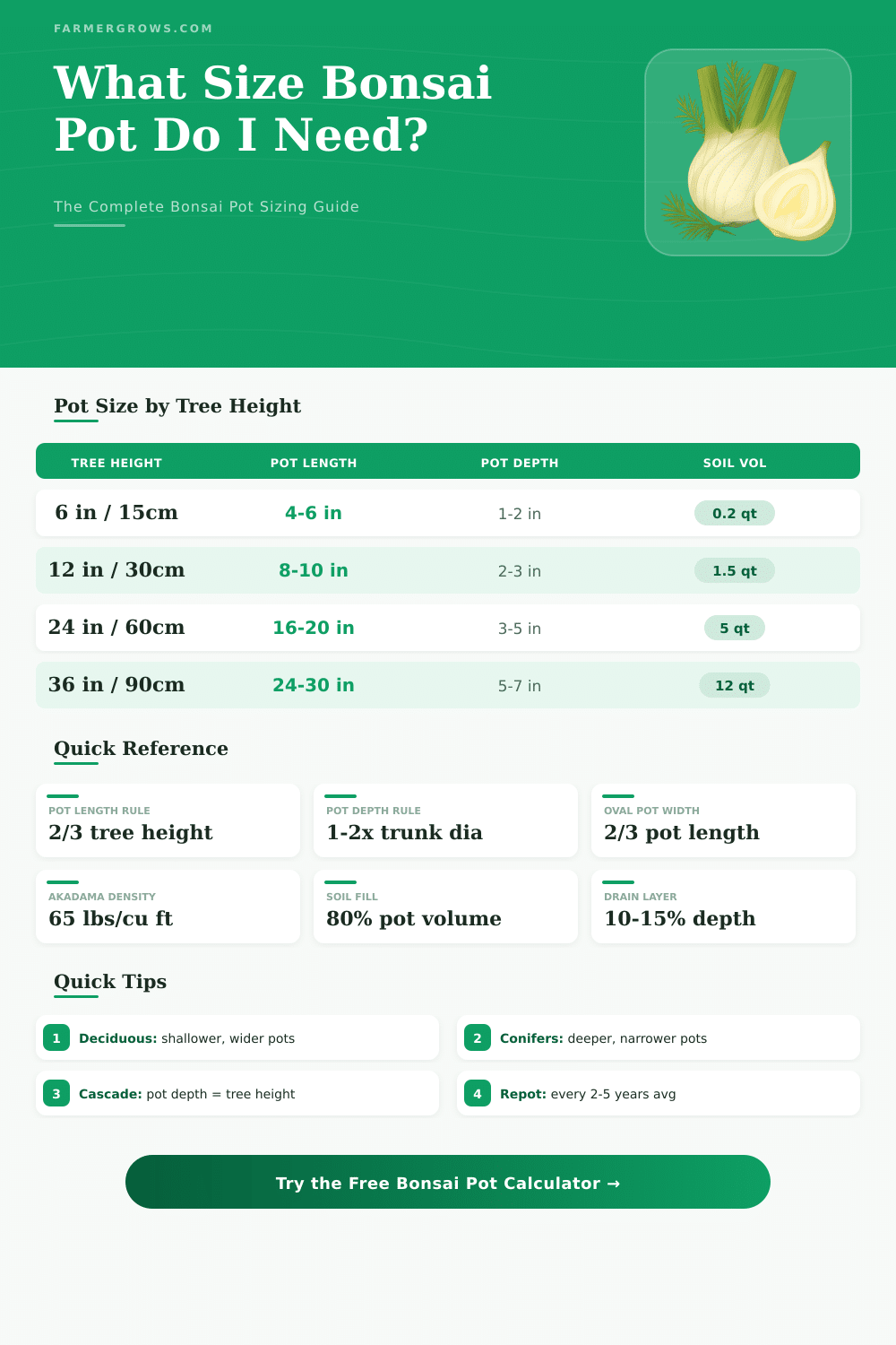 Bonsai Pot Size Calculator: Find the Perfect Pot