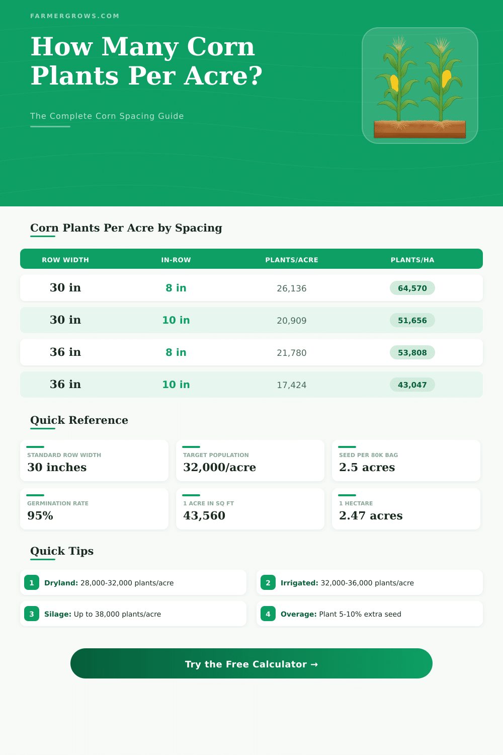 Corn Plant Spacing Calculator: How Many Plants Per Acre?